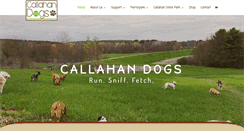 Desktop Screenshot of callahandogs.com